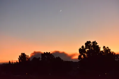 DSC_5618 (Large).JPG